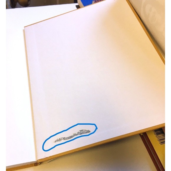 Oriental Rugs in Needlepoint : 10 Charted Designs by Susan Schoenfeld Kalish... - Picture 3 of 12